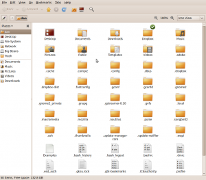 Ubuntu Home Folder with Hidden Files